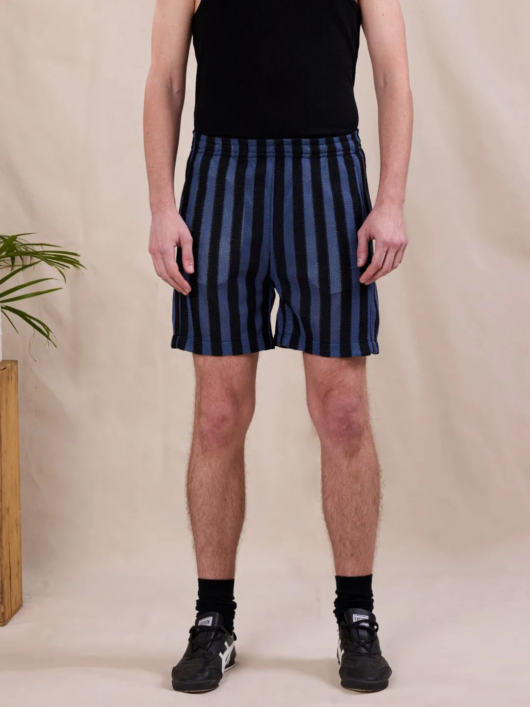Blue Striped Shorts
