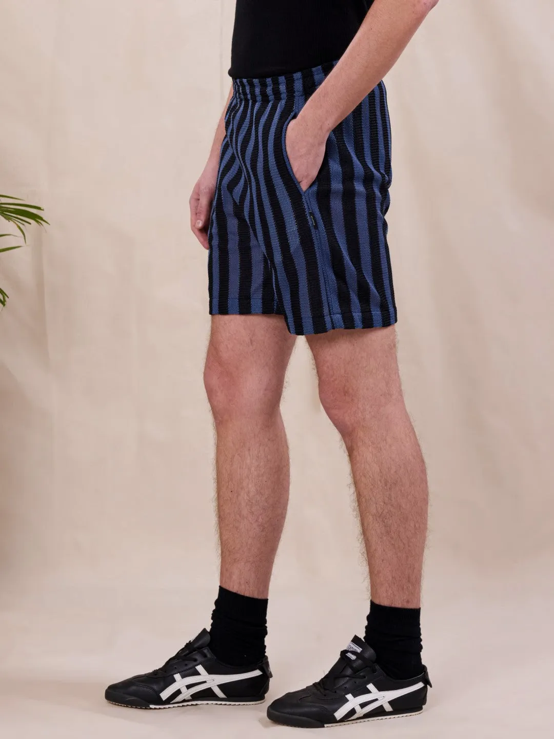 Blue Striped Shorts