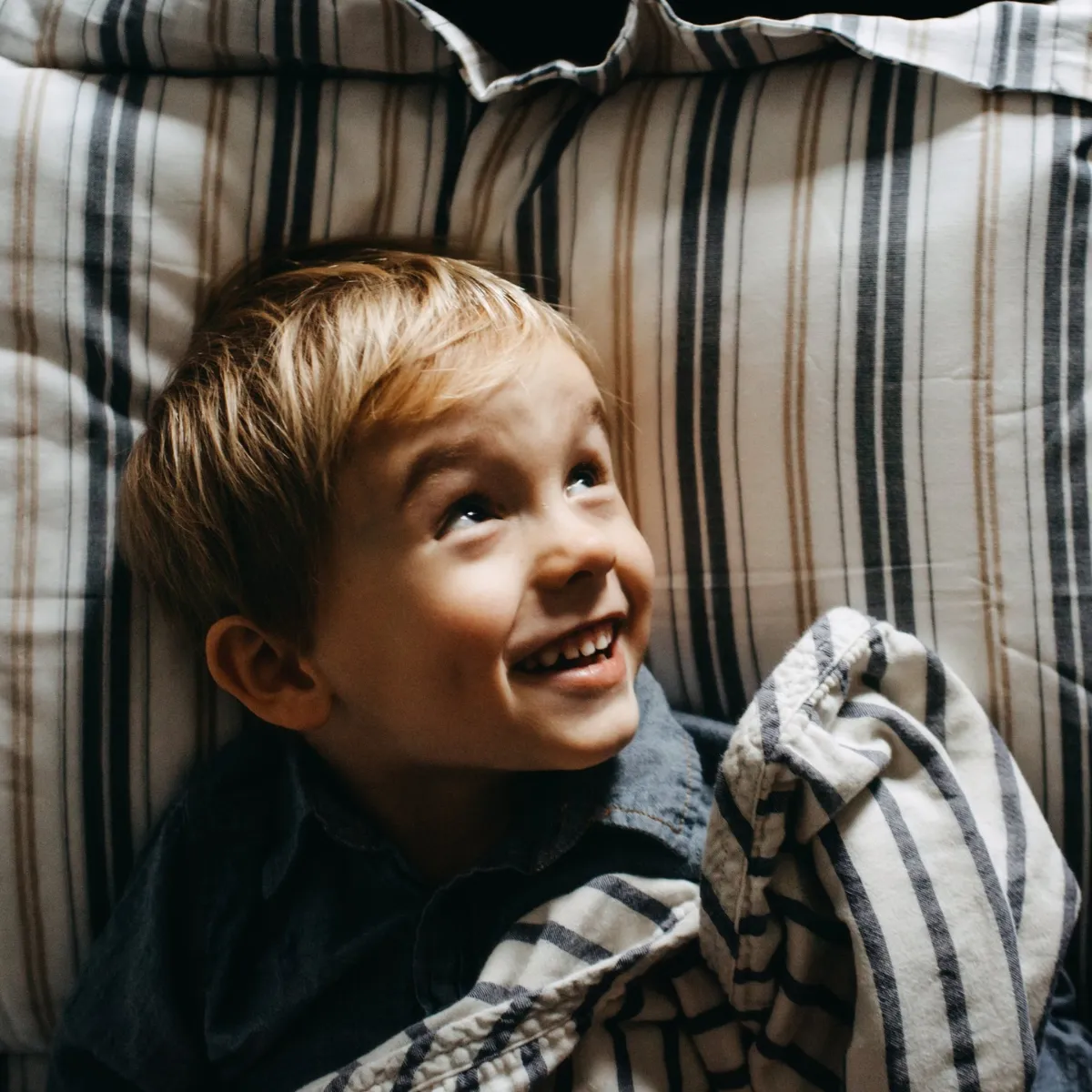 Cotton Comforter Quilt and Shams - Navy and Cream Bay Stripe