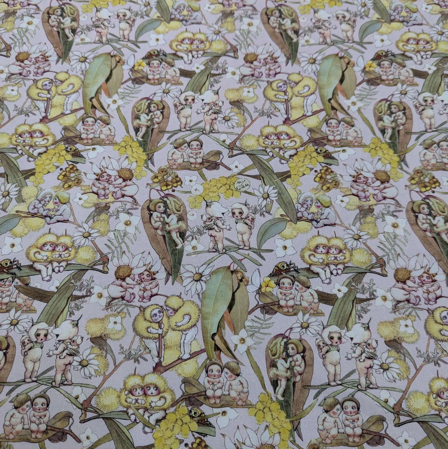 Cotton, May Gibbs - Gossiping Gumnuts in Pink