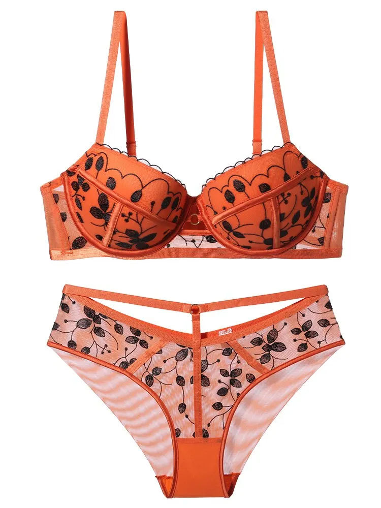 Embroidery Lace Bra Set Lingerie Push Up Brassiere Hollow Out Underwear Set Transparent Panties Underwear
