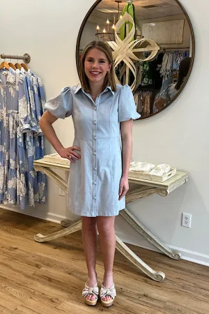 Faux Suede Puff Sleeve Dress in Light Blue
