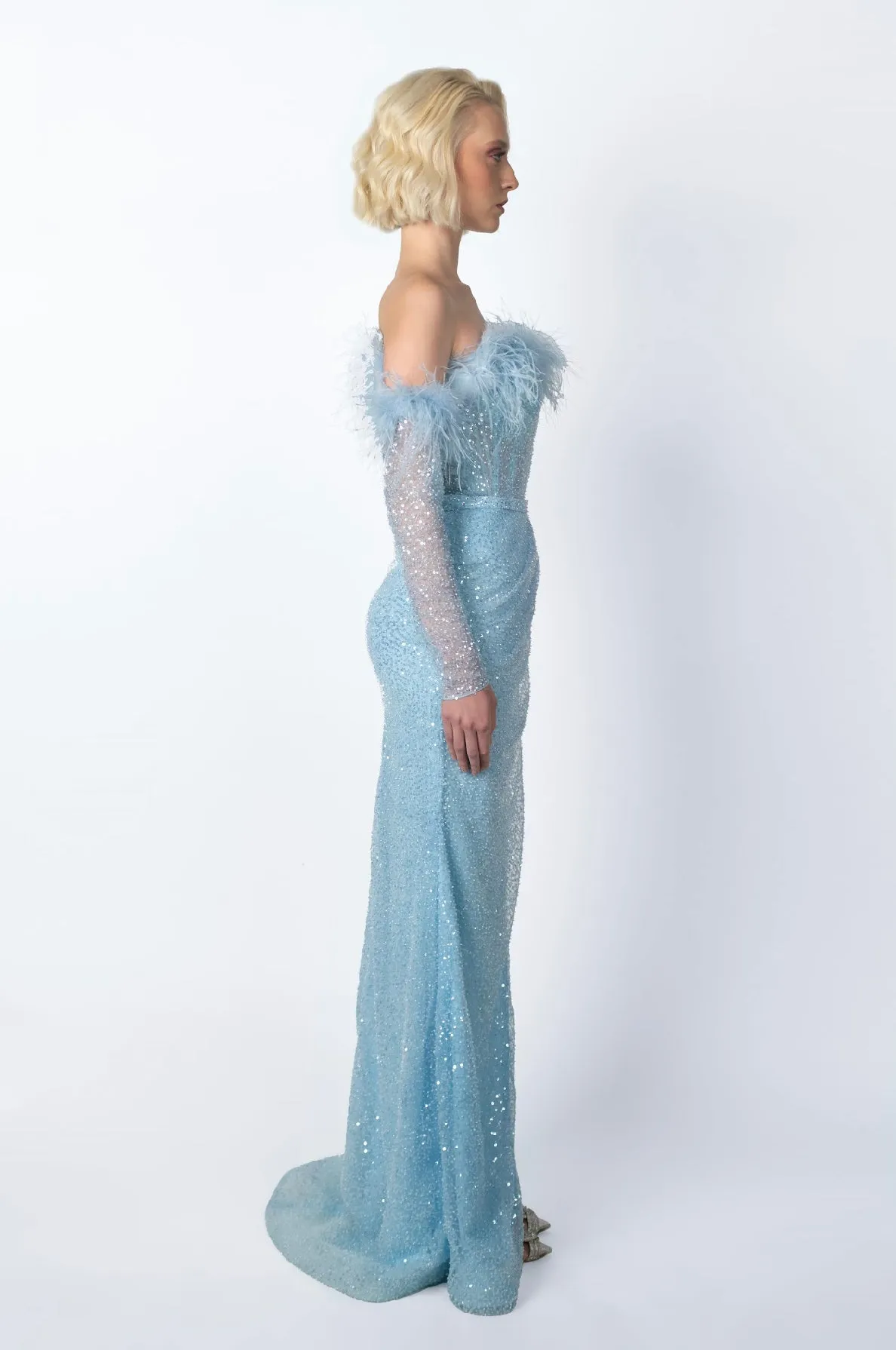 Feathers and Crystals Gown Dress