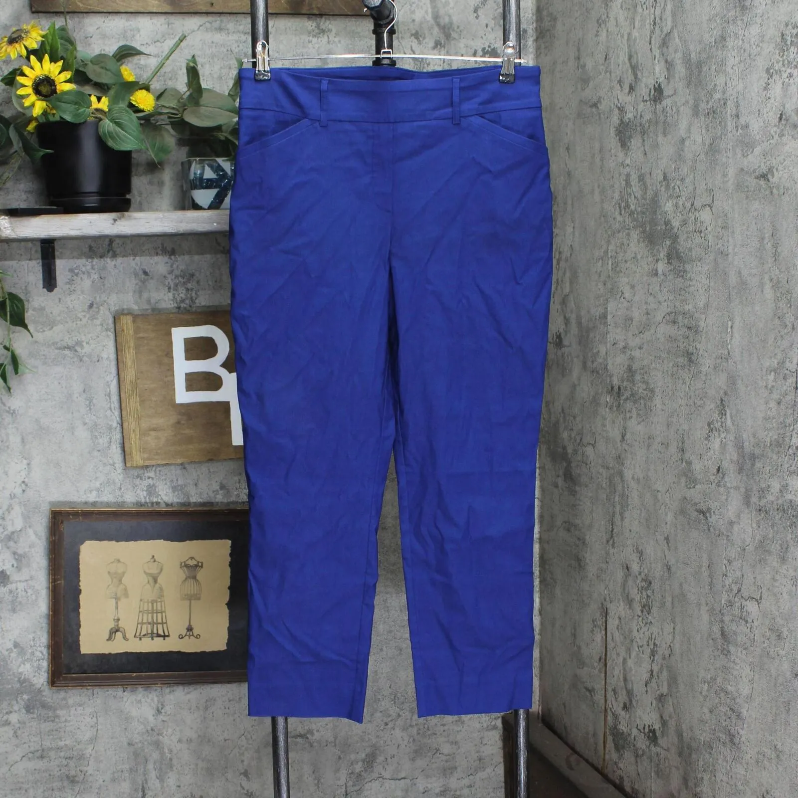Hilary Radley Women Mid-Rise Stretch Pull-On Ankle Pant 1753633 Mazarine Blue L