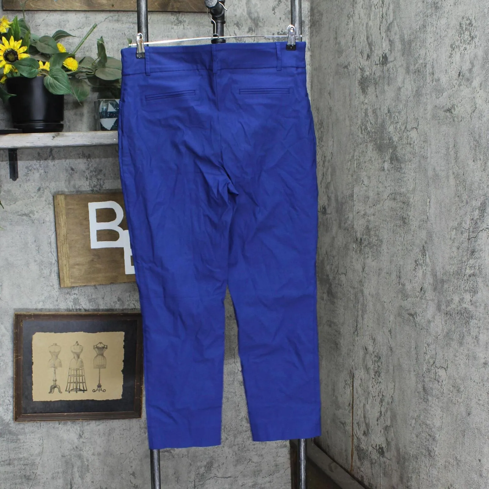 Hilary Radley Women Mid-Rise Stretch Pull-On Ankle Pant 1753633 Mazarine Blue L