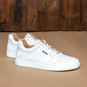 Kingsley Heath S Court White/Brass/White