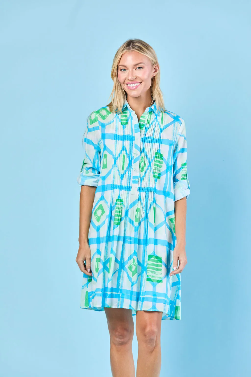 Mallory Dress in Sky Picnic