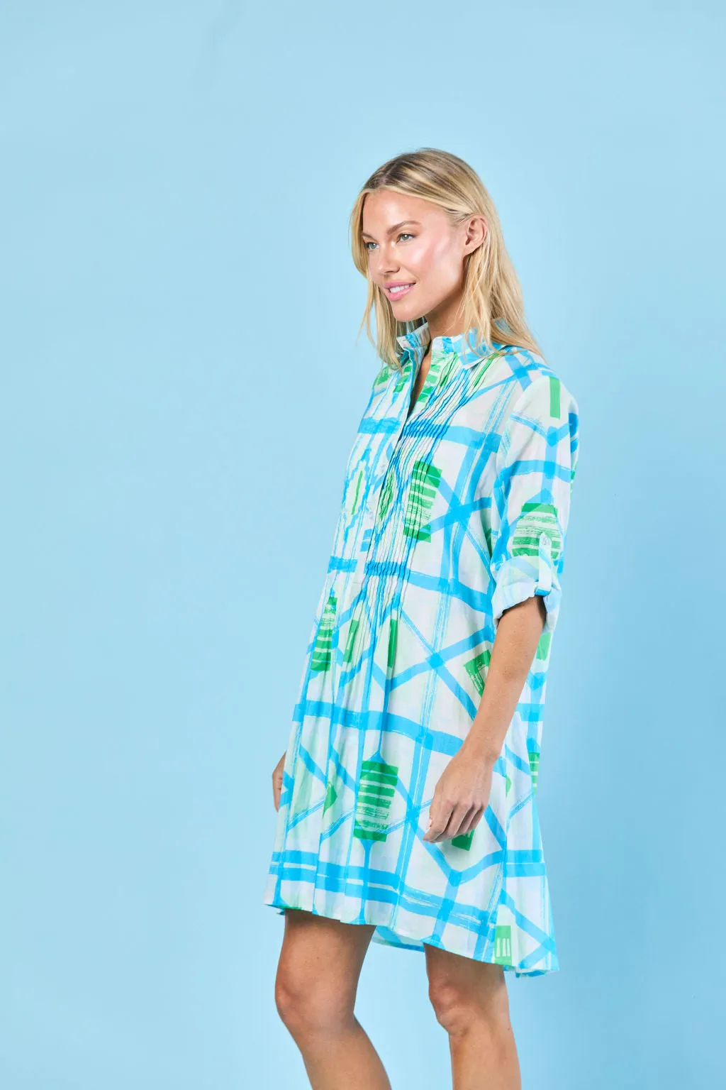 Mallory Dress in Sky Picnic