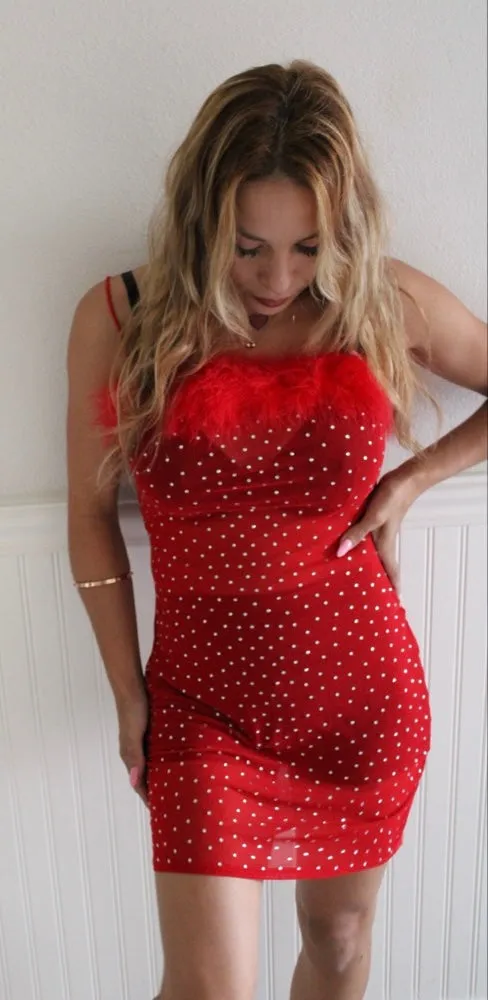 Mesh Stud Mini Dress