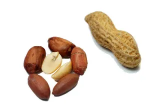 Organic Groundnut Whole