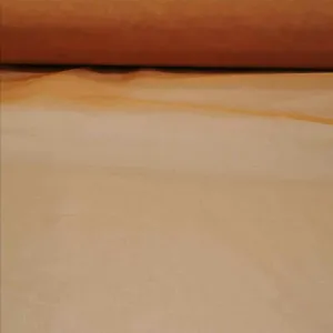 Silk Organza, Dried Apricot