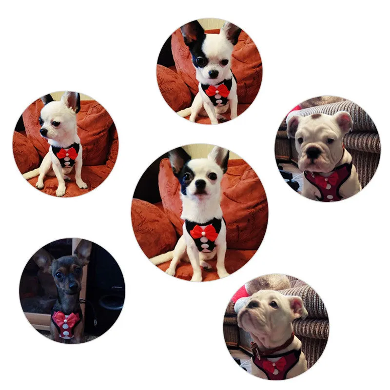 Tuxedo Bow Tie Dog Harness & Leash Set